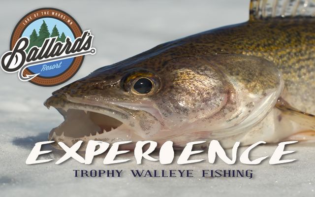<h1 class="tribe-events-single-event-title">Winter Walleye Connection 🎣🐟</h1>